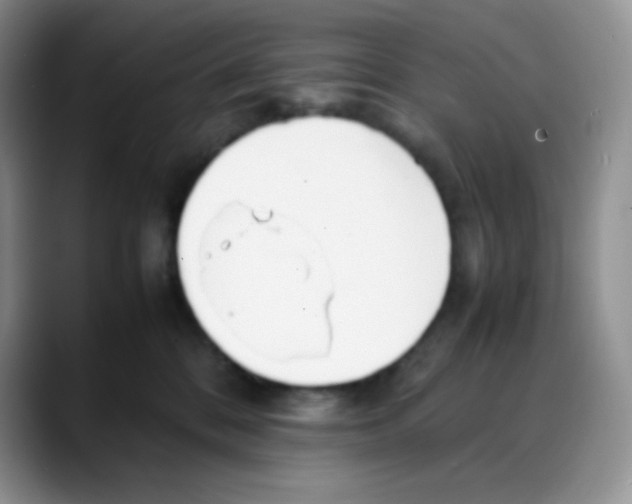 X0000088050328200706081634