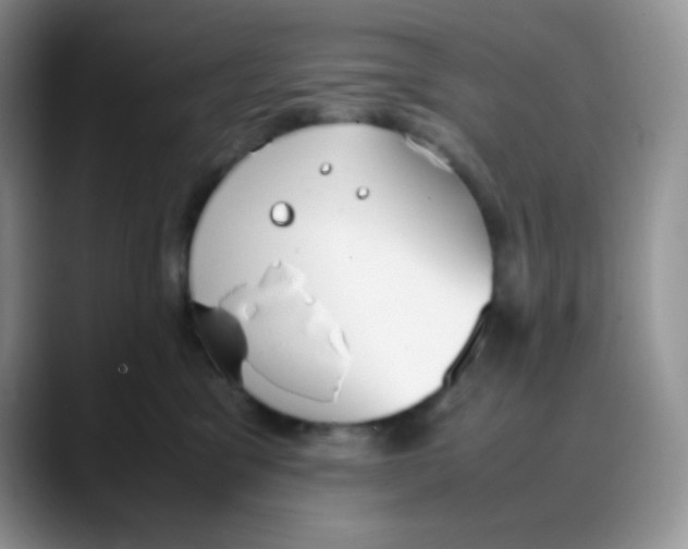 X0000088050329200706081634