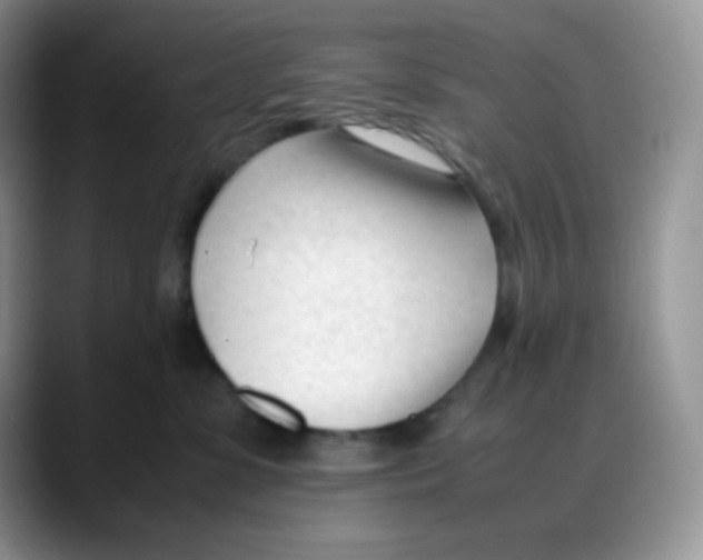 X0000088050331200706081634