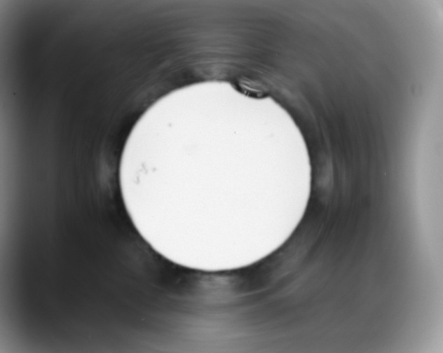 X0000088050332200706081634