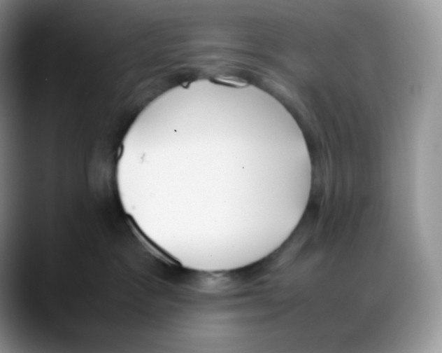 X0000088050333200706081634
