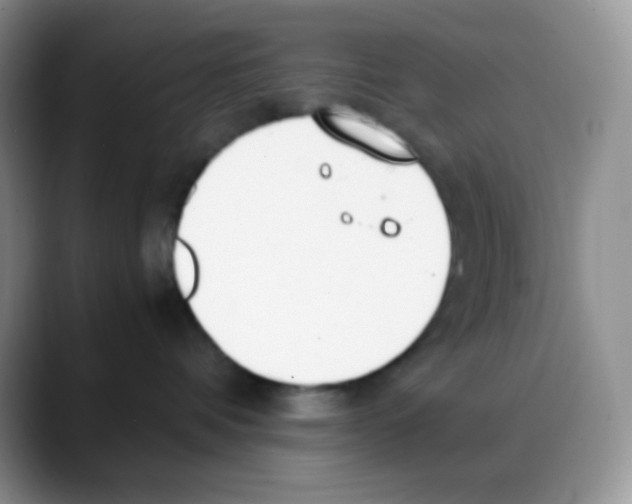 X0000088050336200706081634