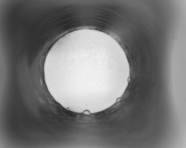 X0000088050337200706081634