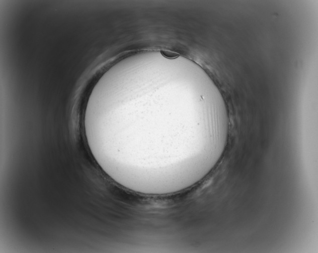 X0000088050343200706081634