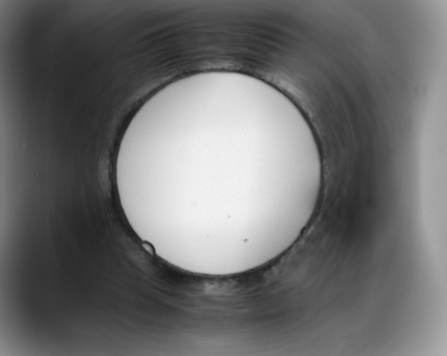 X0000088050345200706081634