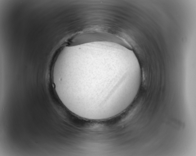 X0000088050348200706081634
