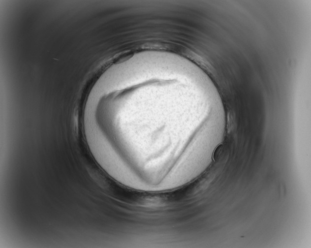 X0000088050349200706081634