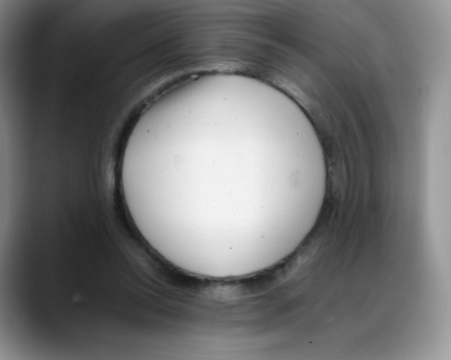 X0000088050350200706081634