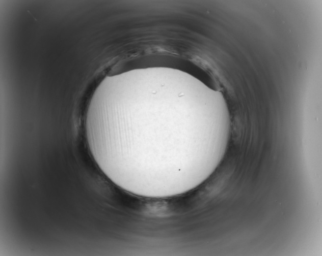 X0000088050355200706081634