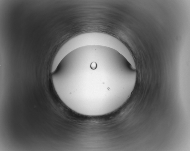 X0000088050356200706081634