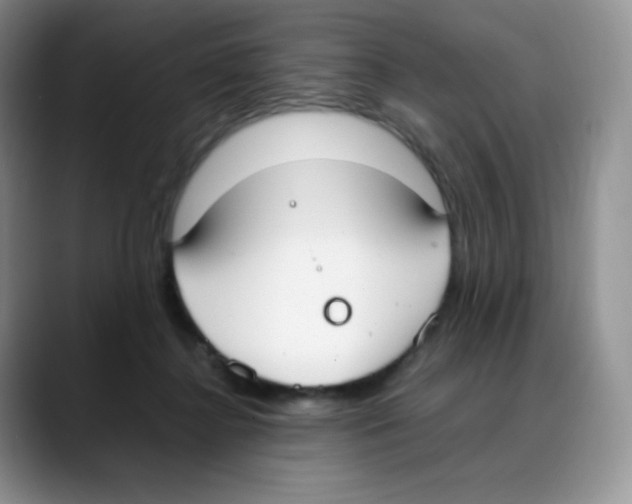 X0000088050364200706081634