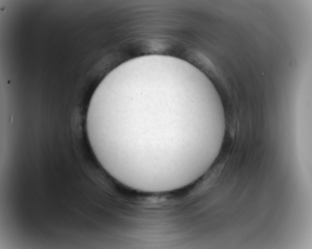 X0000088050366200706081634