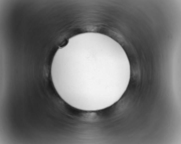 X0000088050374200706081634