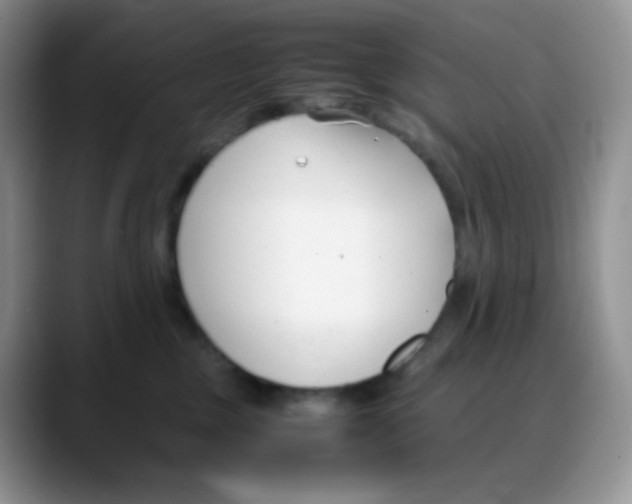 X0000088050377200706081634