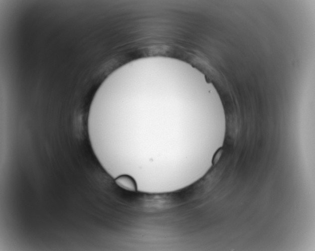 X0000088050378200706081634