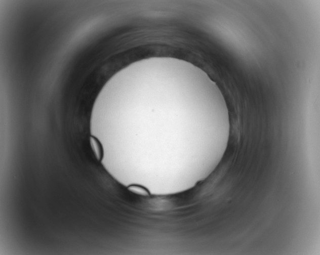 X0000088050383200706081634