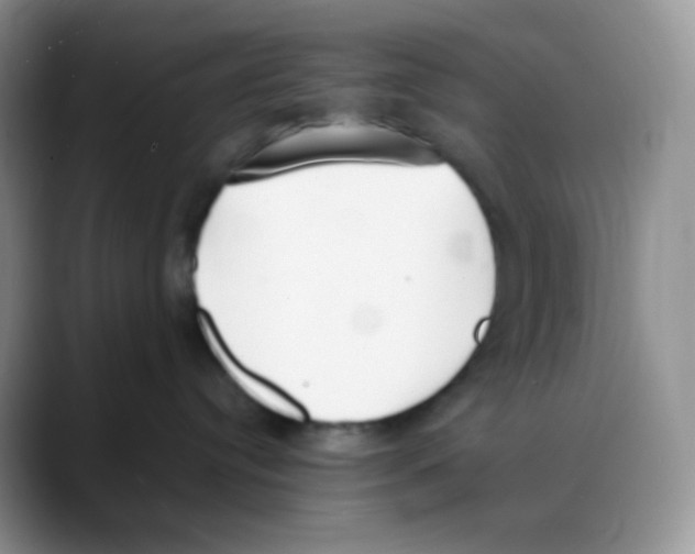X0000088050384200706081634