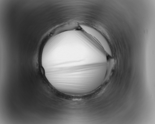 X0000088050388200706081634