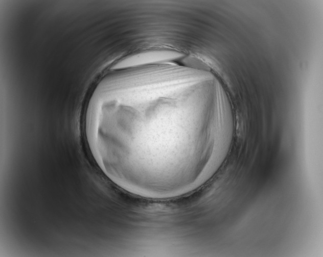 X0000088050390200706081633