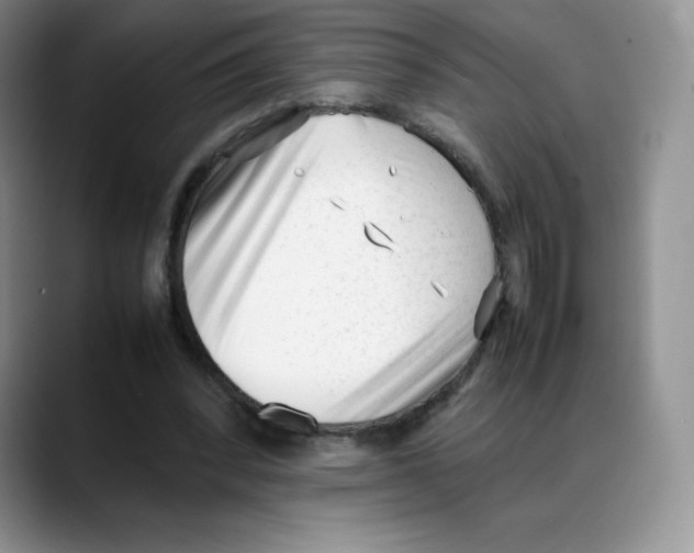X0000088050392200706081633