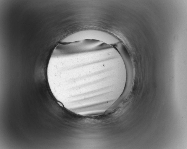 X0000088050393200706081633