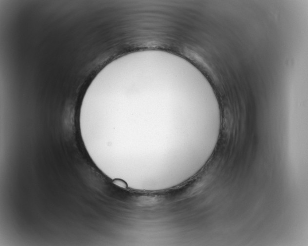 X0000088050394200706081633
