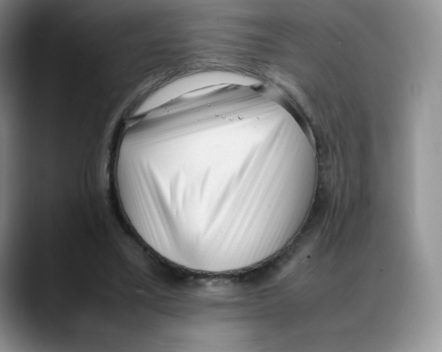 X0000088050395200706081633
