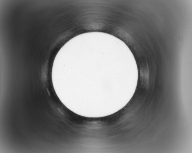 X0000088050396200706081633