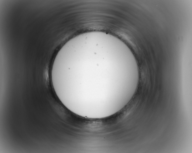 X0000088050398200706081633