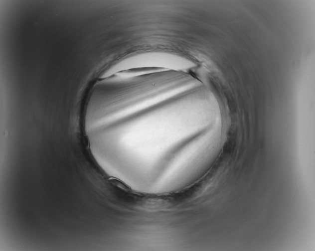 X0000088050399200706081633