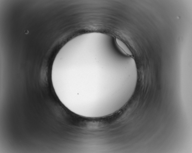 X0000088050400200706081633