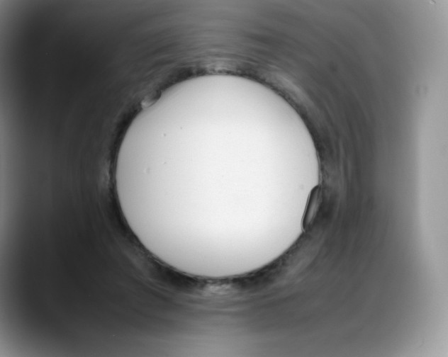 X0000088050401200706081633