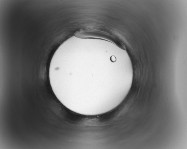 X0000088050403200706081633