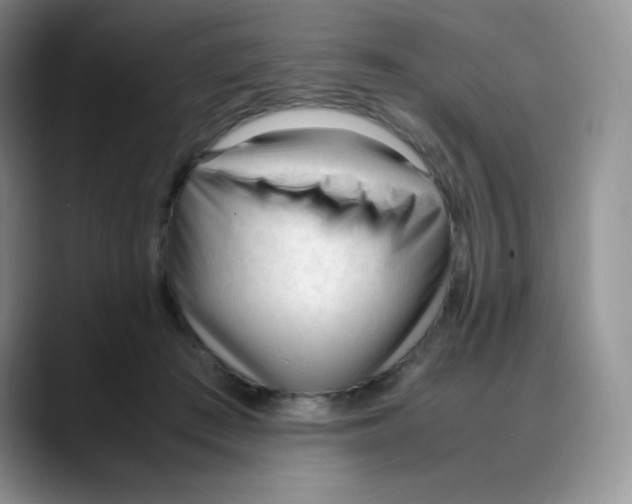 X0000088050409200706081633