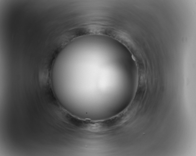 X0000088050411200706081633