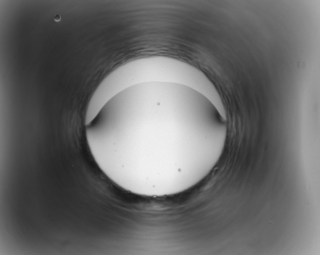 X0000088050412200706081633