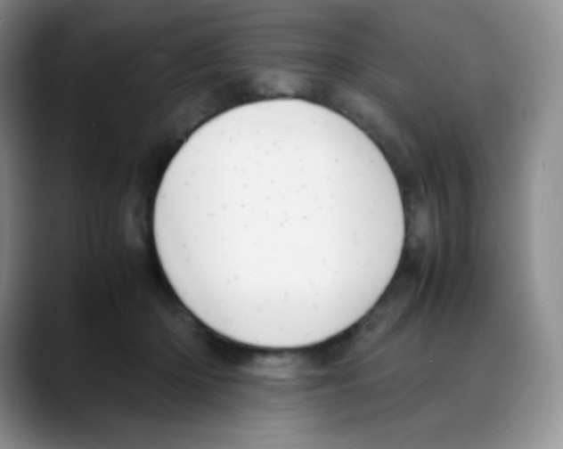 X0000088050414200706081633