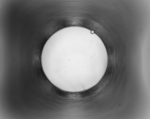 X0000088050415200706081633