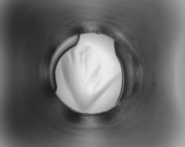 X0000088050417200706081633