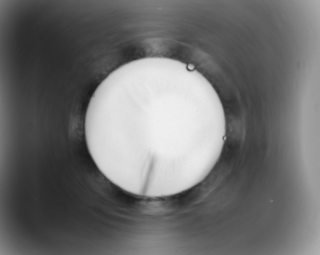 X0000088050419200706081633