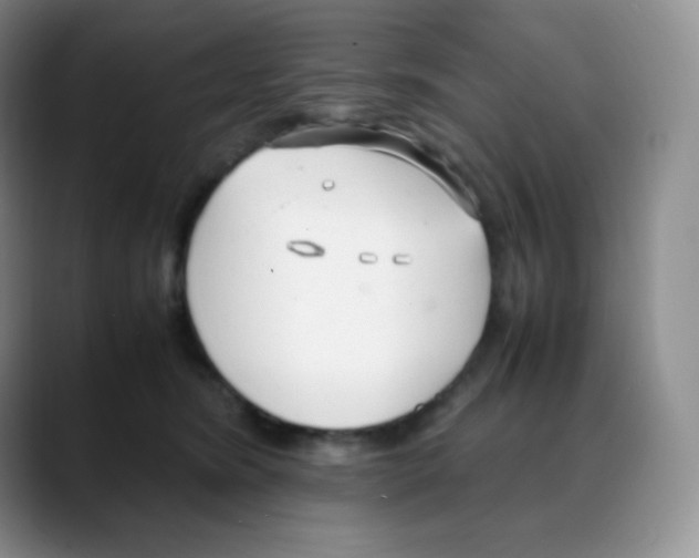 X0000088050420200706081633