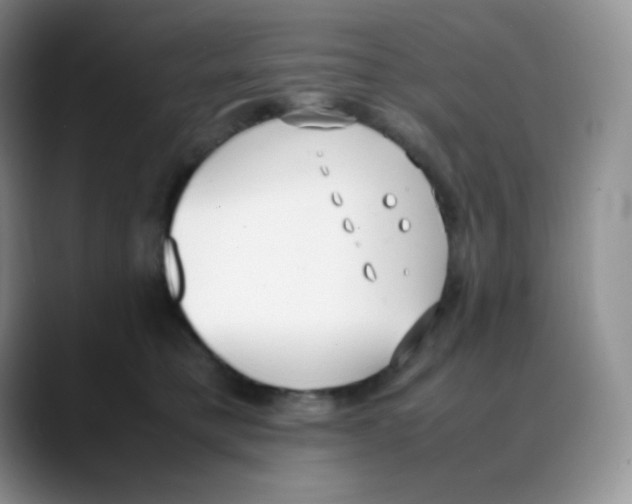 X0000088050421200706081633