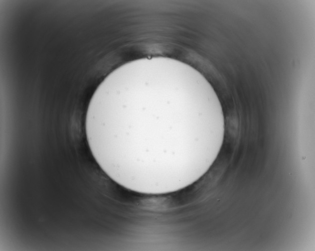 X0000088050422200706081633