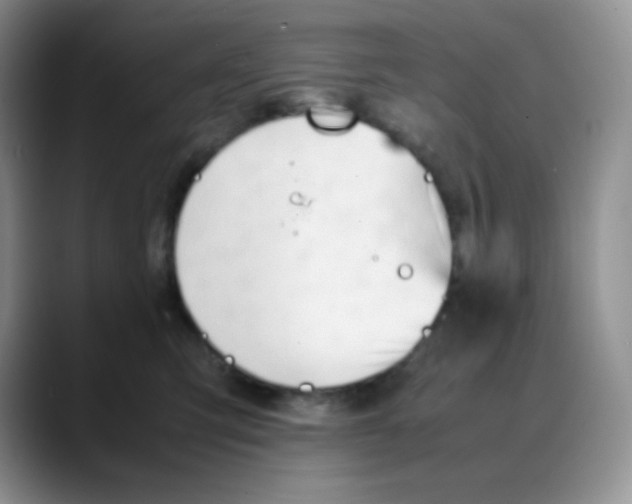 X0000088050423200706081633