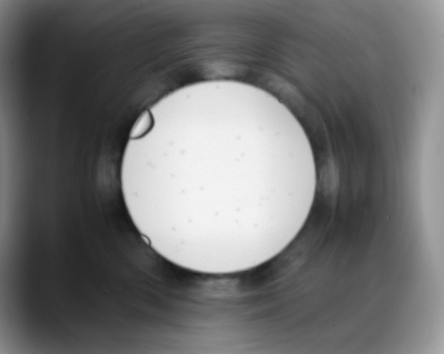 X0000088050426200706081633