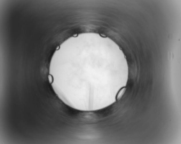 X0000088050427200706081633