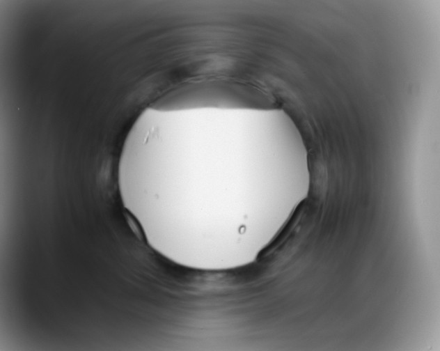 X0000088050428200706081633