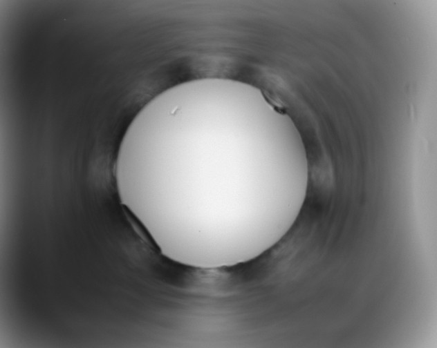 X0000088050429200706081633