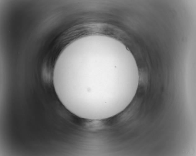 X0000088050431200706081633