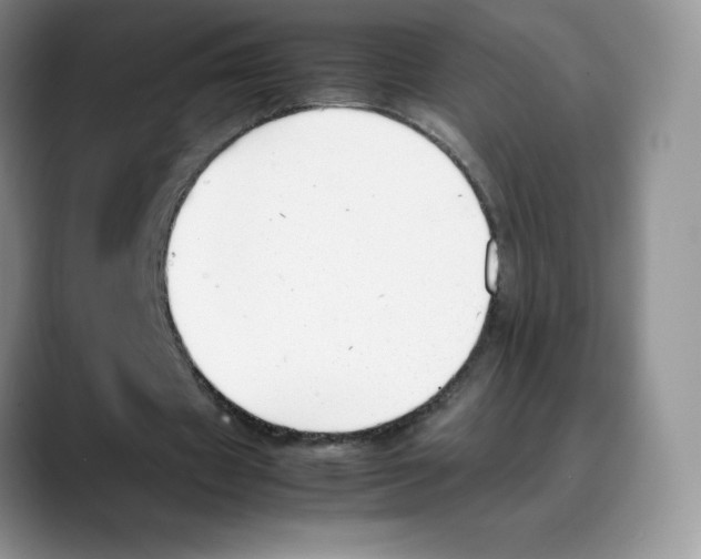 X0000088050433200706081632
